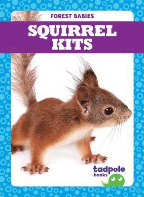 Squirrel Kits 1