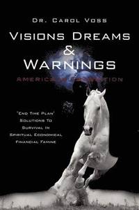 bokomslag Visions Dreams and Warnings America In Transition