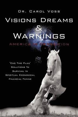 Carol Voss, Dr. Carol Voss - Visions Dreams and Warnings America In Transition, Häftad