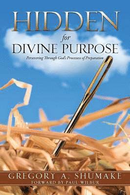 Hidden for Divine Purpose 1
