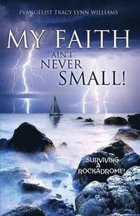 bokomslag My Faith Ain't Never Small!