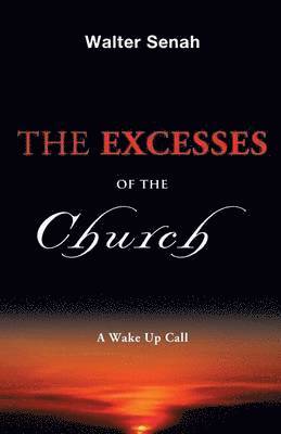 bokomslag Excesses of the Church
