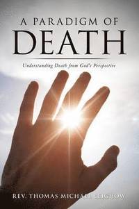 bokomslag Paradigm of Death