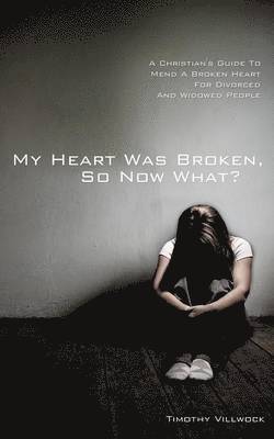 My Heart Was Broken, So Now What? 1