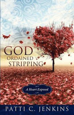 bokomslag God Ordained Stripping