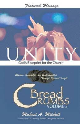 bokomslag Unity God's Blueprint for the Church