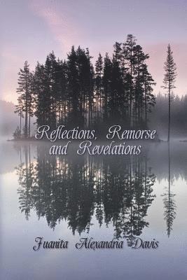 bokomslag Reflections, Remorse, and Revelations