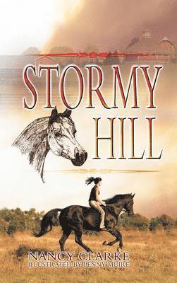 Stormy Hill 1