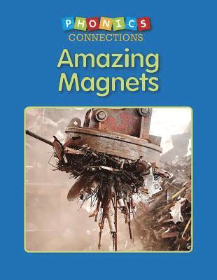 bokomslag Amazing Magnets