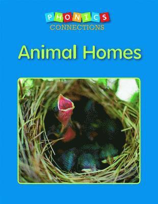 bokomslag Animal Homes