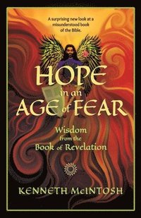 bokomslag Hope in an Age of Fear