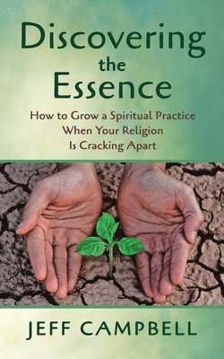 Discovering the Essence 1