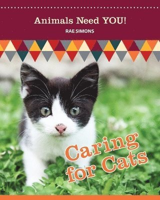 Rae Simons - Caring for Cats (Animals Need YOU!), Häftad