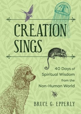 Bruce G Epperly, Bruce G. Epperly - Creation Sings, Häftad