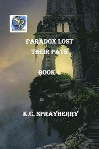 bokomslag Paradox Lost