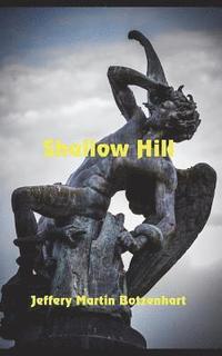 bokomslag Shallow Hill