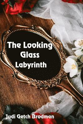 bokomslag Looking Glass Labyrinth