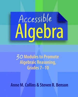 bokomslag Accessible Algebra