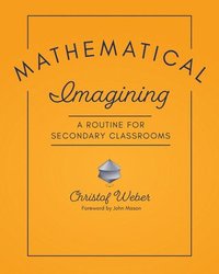 bokomslag Mathematical Imagining