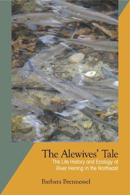 bokomslag The Alewives Tale