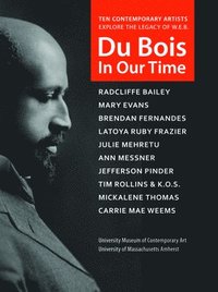 bokomslag Du Bois in Our Time