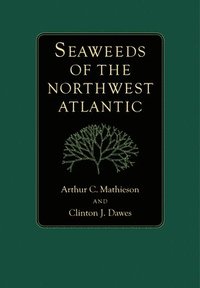 bokomslag Seaweeds of the Northwest Atlantic