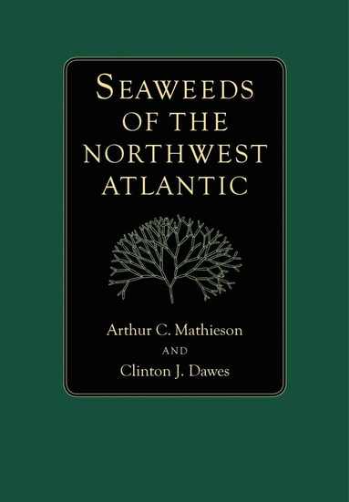 bokomslag Seaweeds of the Northwest Atlantic