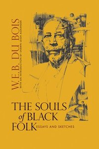 bokomslag Souls of Black Folk