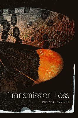 bokomslag Transmission Loss