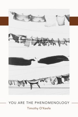 Timothy O'Keefe - You Are the Phenomenology, Häftad