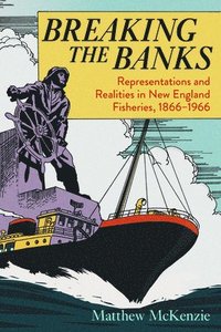 bokomslag Breaking the Banks