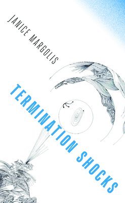 bokomslag Termination Shocks
