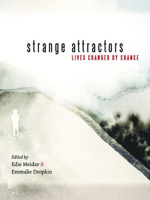 Strange Attractors 1