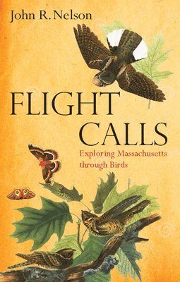 bokomslag Flight Calls
