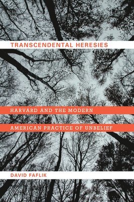 Transcendental Heresies 1