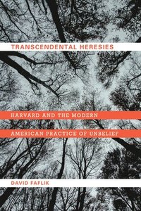 bokomslag Transcendental Heresies