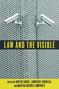 bokomslag Law and the Visible