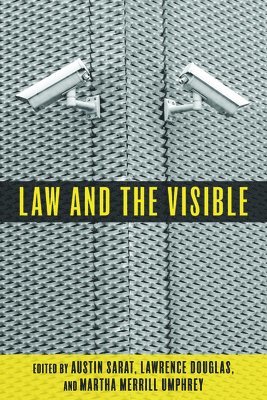 bokomslag Law and the Visible
