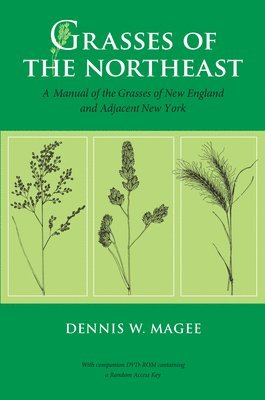 bokomslag Grasses of the Northeast