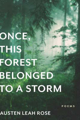 Once, This Forest Belonged to a Storm 1