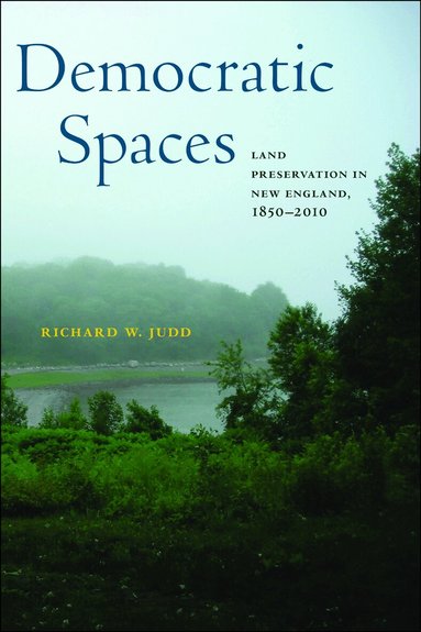 Richard W. Judd - Democratic Spaces, Häftad