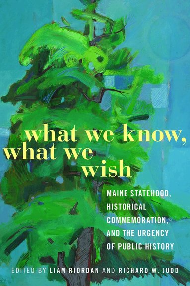 Liam Riordan, Richard W. Judd - What We Know, What We Wish, Häftad