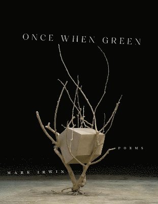 Once When Green 1