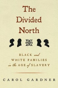 bokomslag Divided North