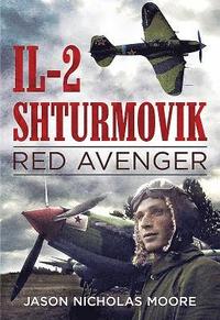 bokomslag Il-2 Shturmovik