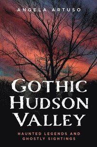 bokomslag Gothic Hudson Valley: Haunted Legends and Ghostly Sightings