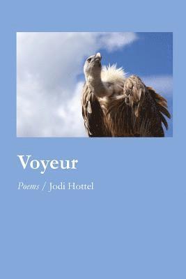 Voyeur 1