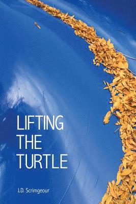 Lifting the Turtle 1