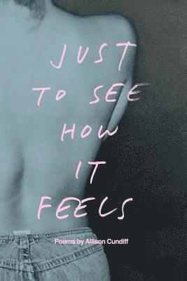 Allison Cundiff - Just to See How It Feels, Häftad
