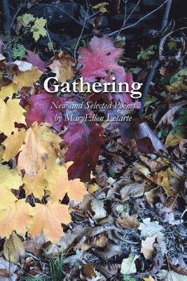 bokomslag Gathering: New and Selected Poems